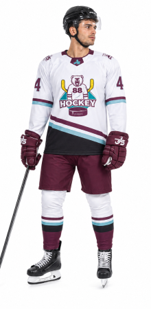 HOME hokey2